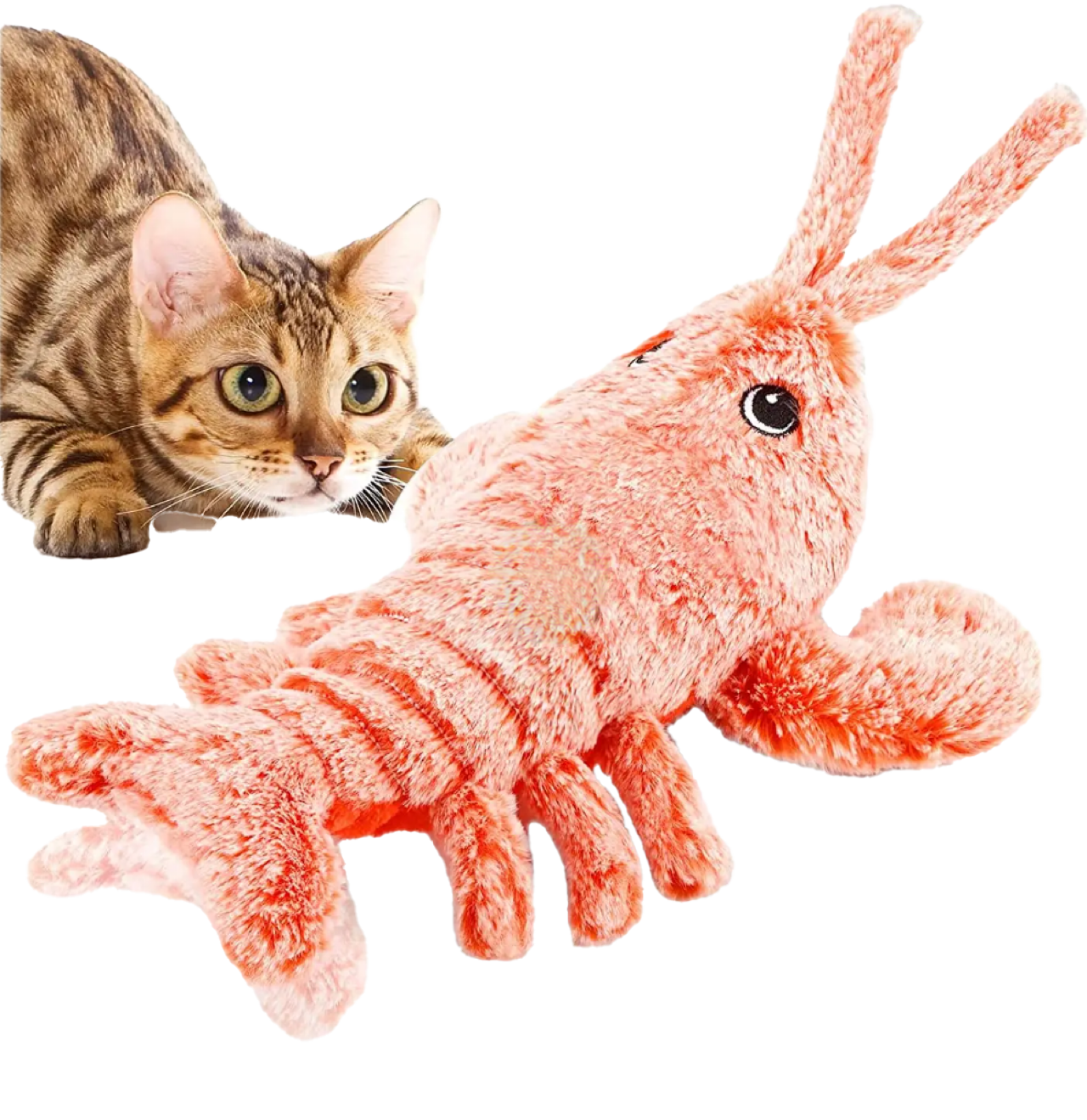 Lobster Buddy - The Pet Supply Corner