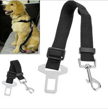 Pup Buckle - The Pet Supply Corner