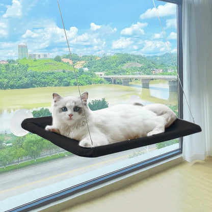 Cat Window Hammock Bed - The Pet Supply Corner