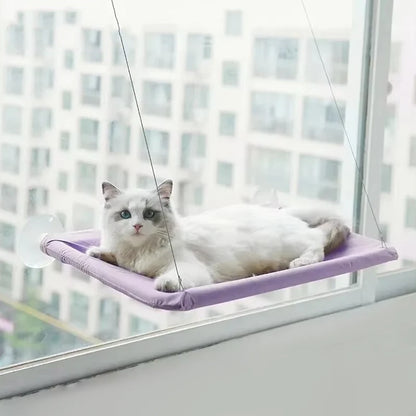 Cat Window Hammock Bed - The Pet Supply Corner