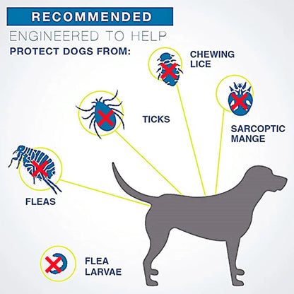 The Definitive Anti Tick Collar - The Pet Supply Corner