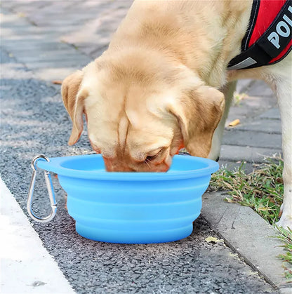 Fold-a-Bowl - The Pet Supply Corner