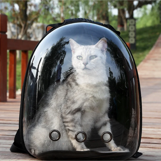 BubbleView Pet Carrier Backpack